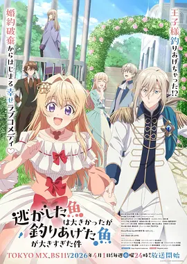 星屑协奏曲音乐动漫免费观看